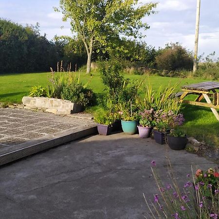 Lovely Cosy Cottage Close To Atlantic Beaches Dromore West Eksteriør billede